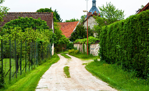 Déménageur Nogent-sur-Marne